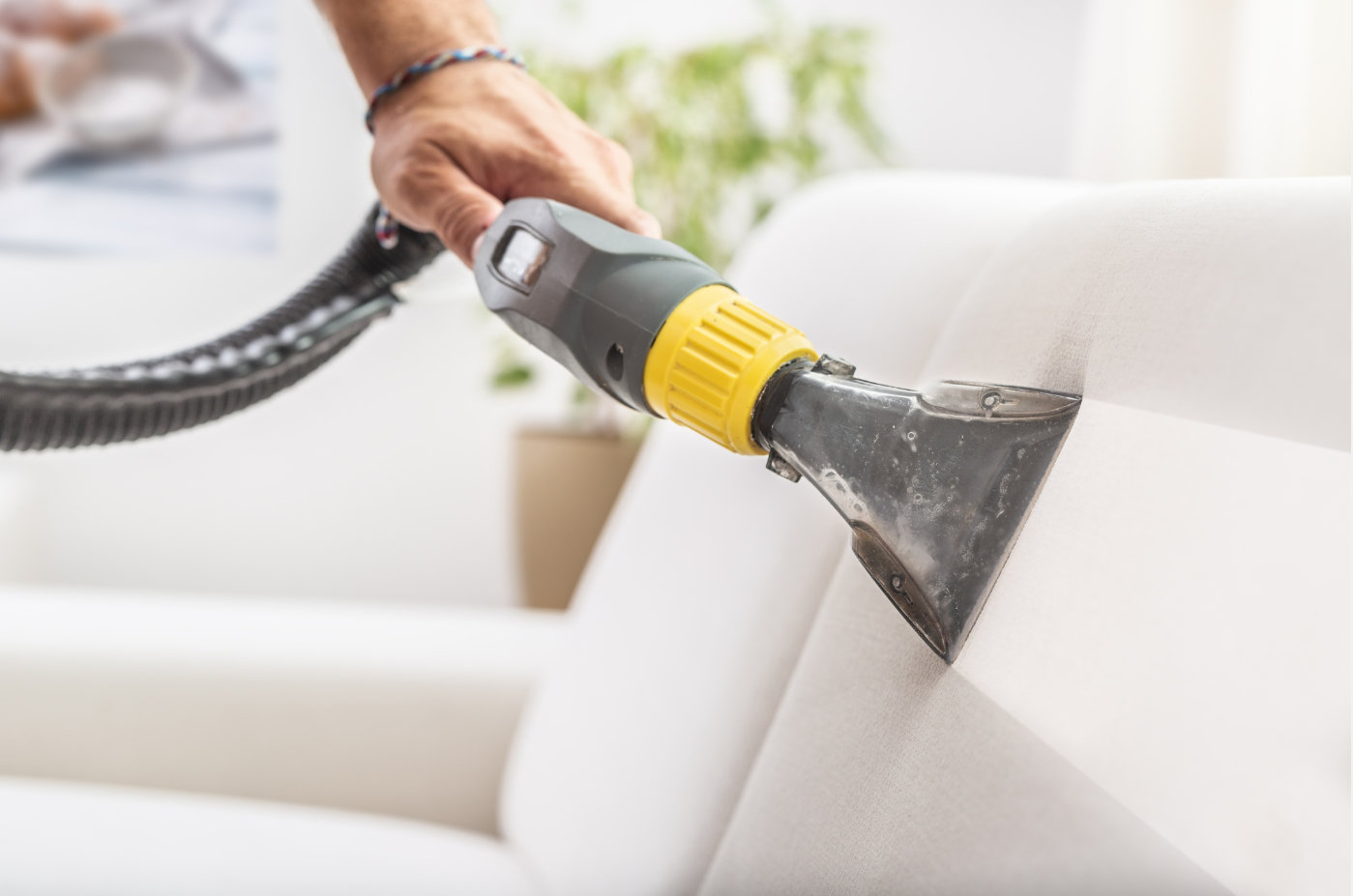 Professional sofa cleaning at home in Gran Canaria